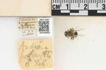 Media type: image;   Entomology 769903 Aspect: Labels